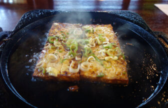 【岐阜】国道41号線沿い（飛騨～高山～下呂）のガッツリ飯のおすすめ5選